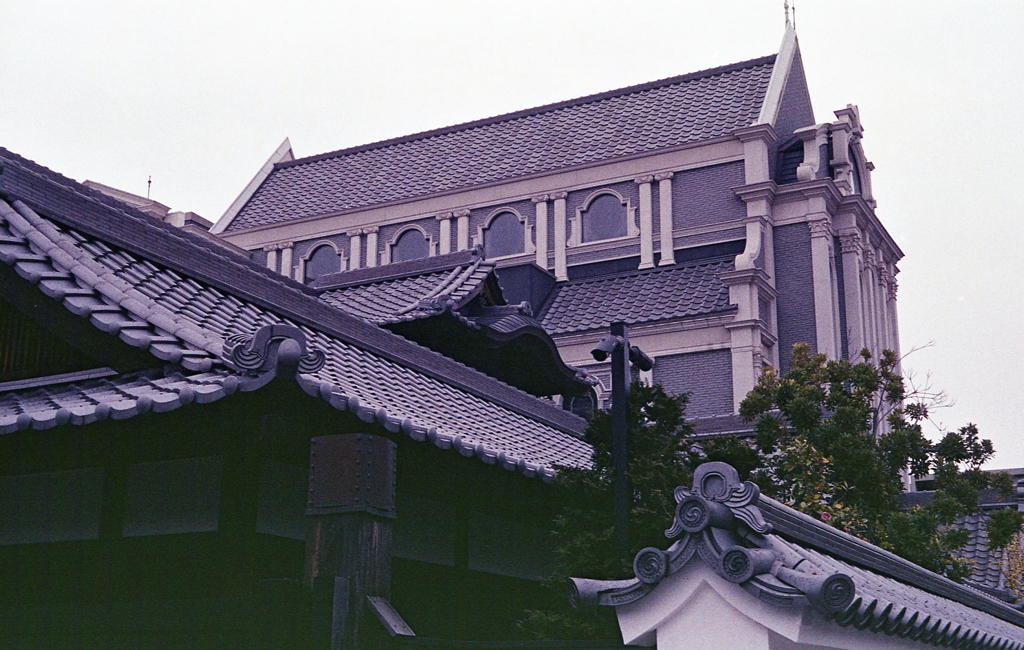 白壁の屋根景色