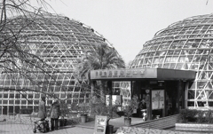 丸いドームの連なる温室