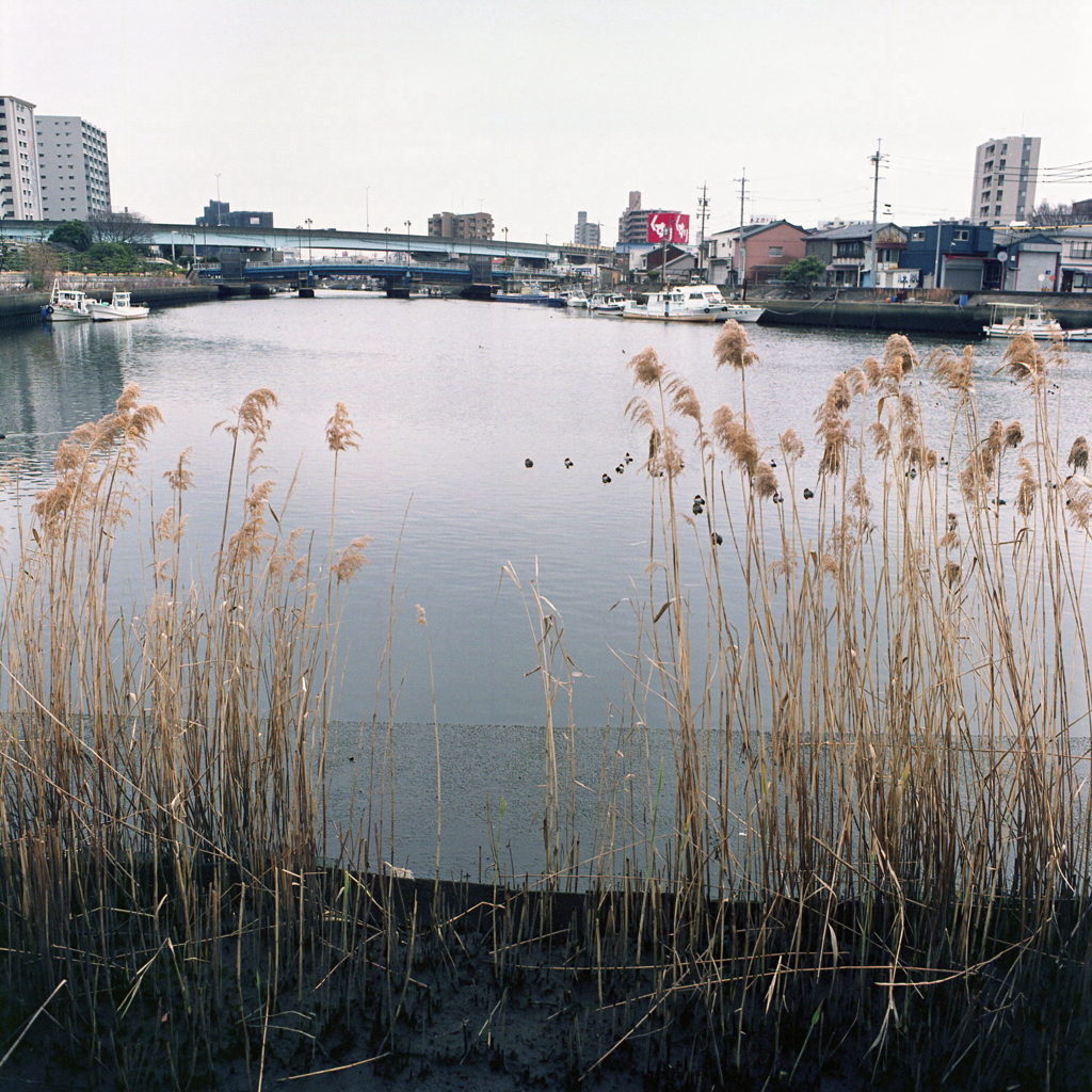 渡しから内田橋風景