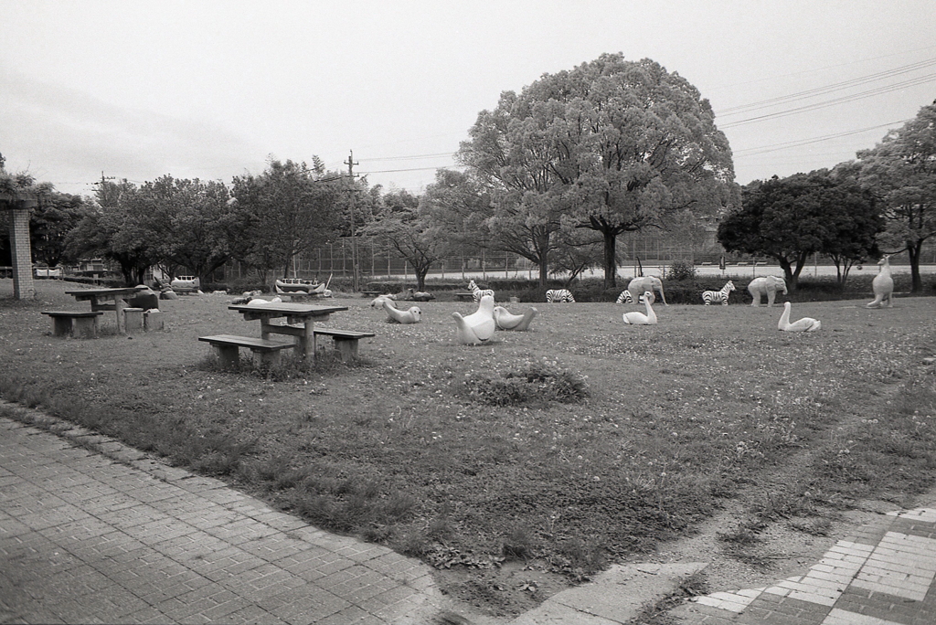 動物公園