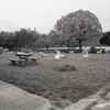 動物公園