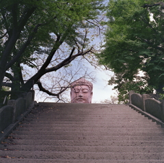 大仏様が見えてきた…