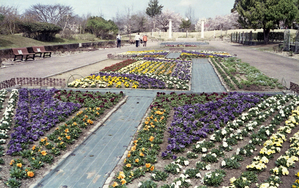 咲き乱れる春の花々