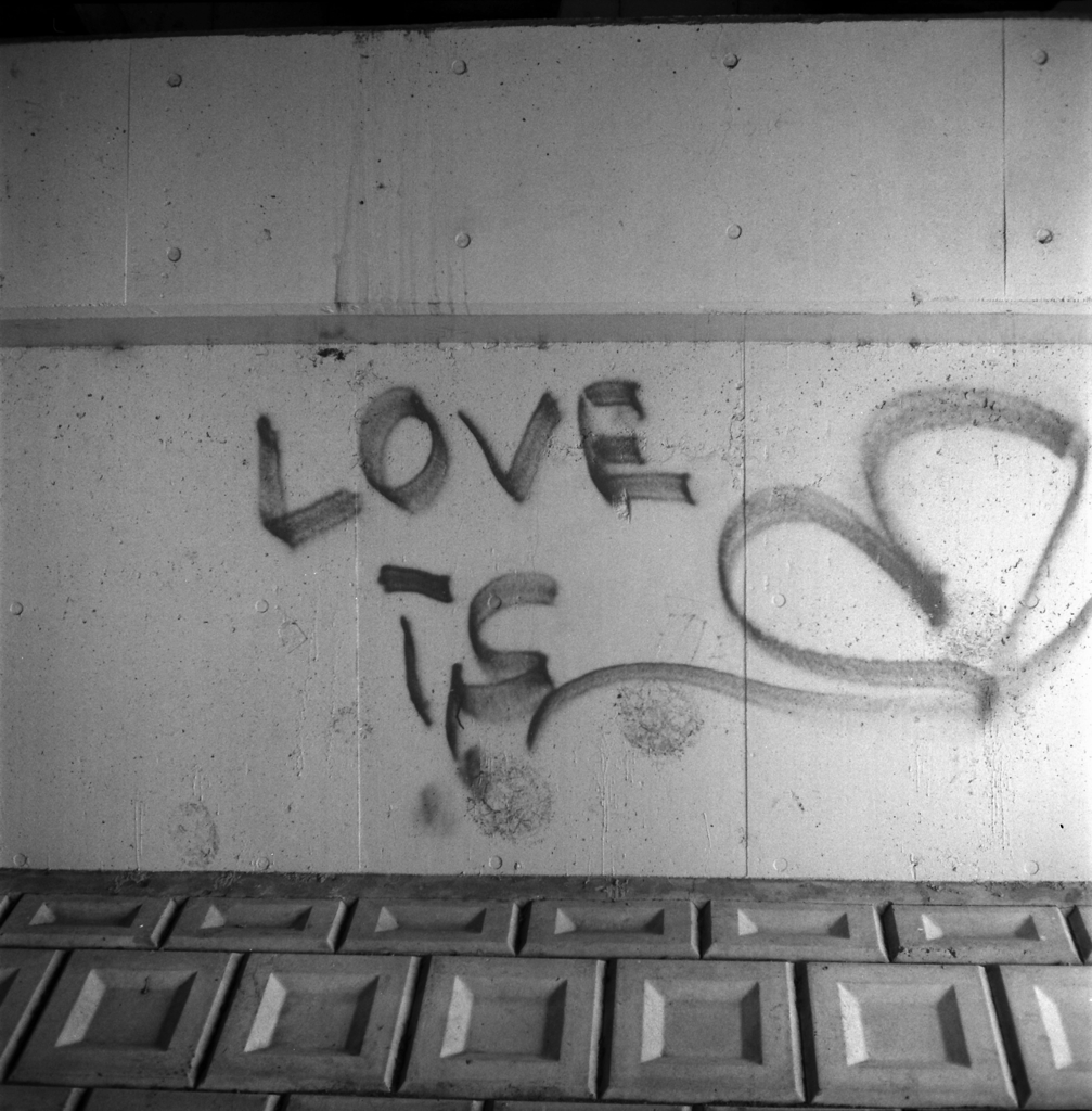 LOVE IS…　～Kentmere400試写