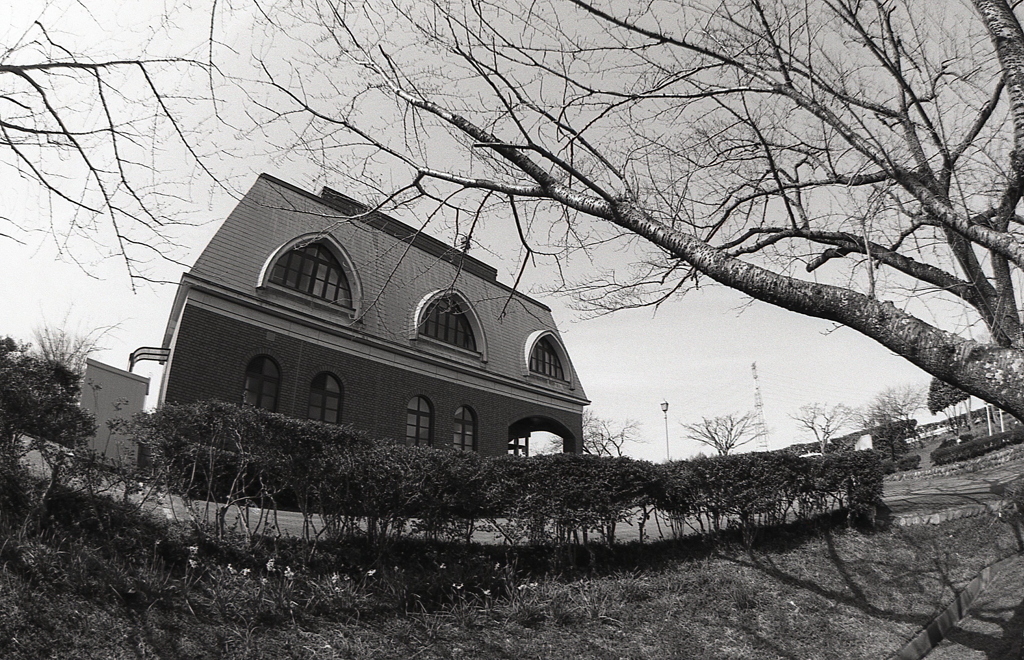 立ち入らず写真を撮る。（笑