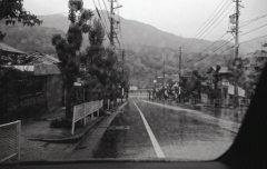 雨の日だから撮れる写真がある。