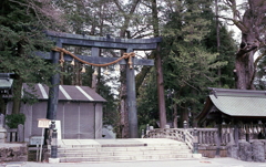 諏訪大社本宮