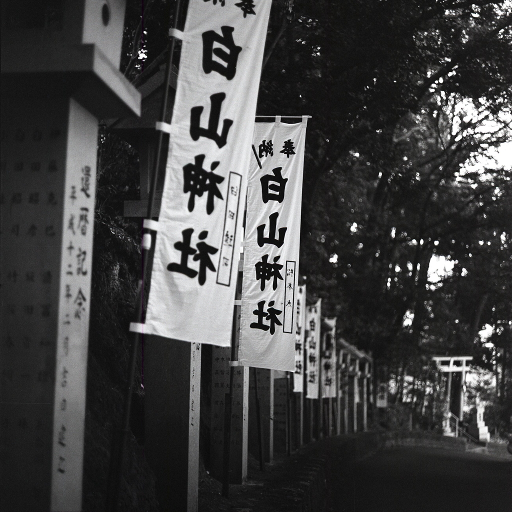 大晦日に白山神社