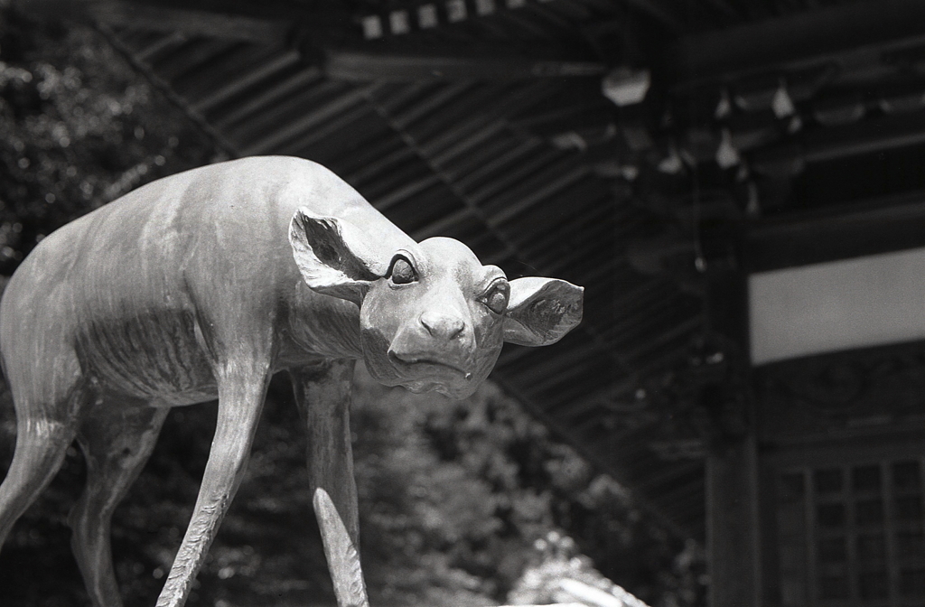 まるで問われているような…