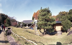 日本庭園の庭師　～モリコロパークにて