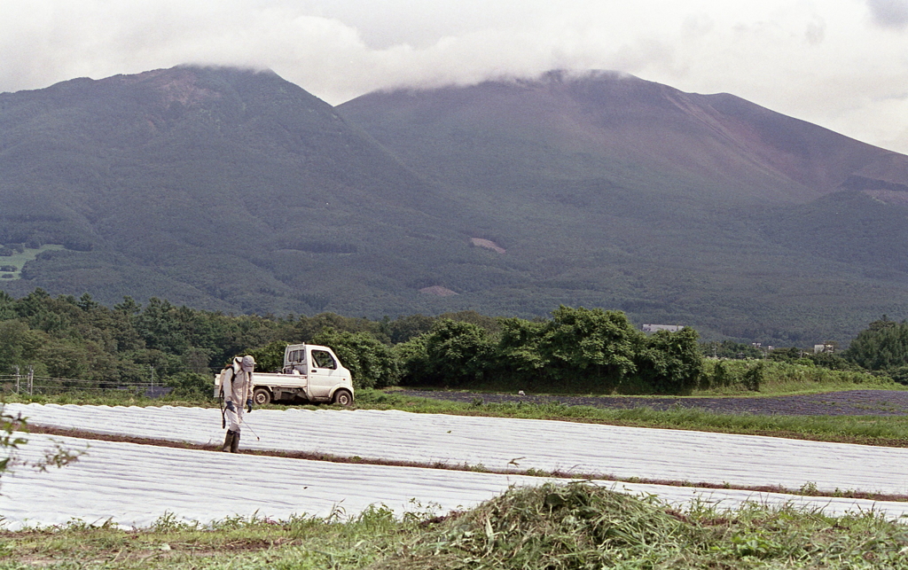 御代田の風景