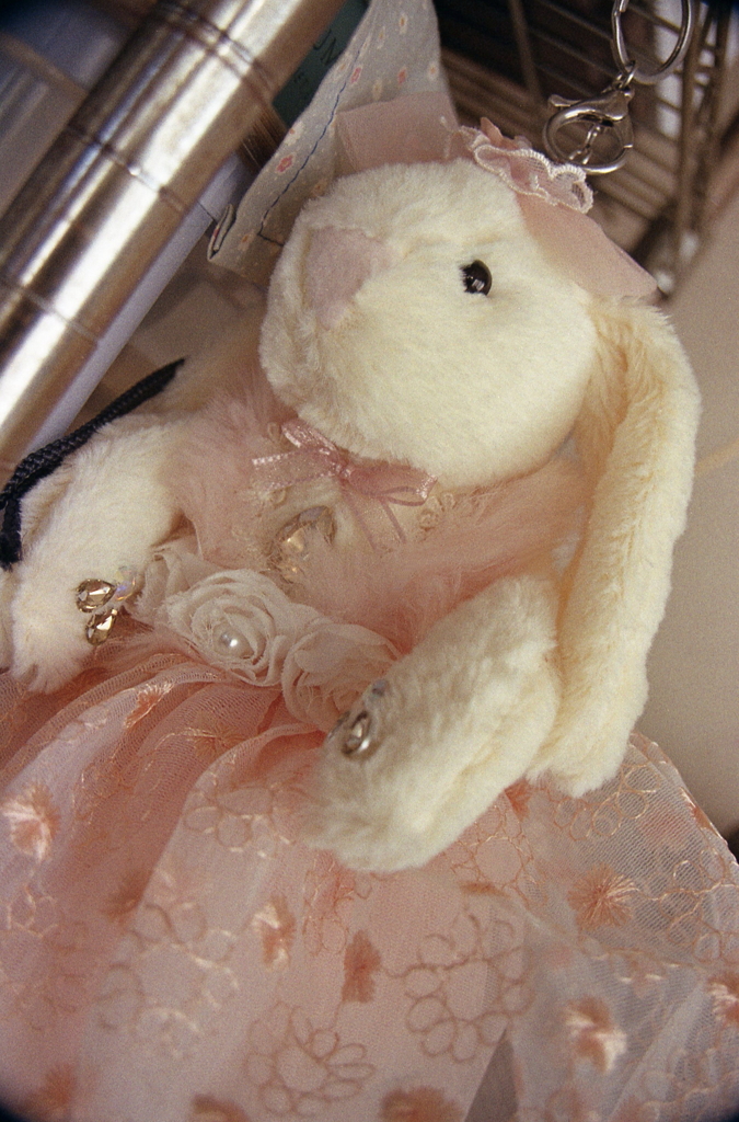 孫の置き土産　～家撮りフォト