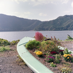 ボートの花壇