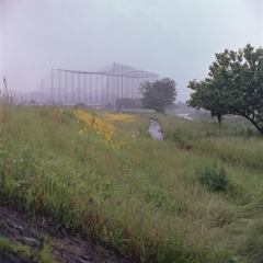 降る雨に柔らかな風景