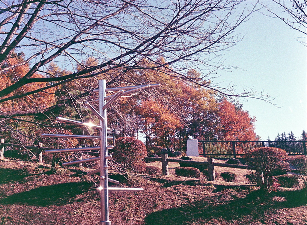 御代田の朝散歩