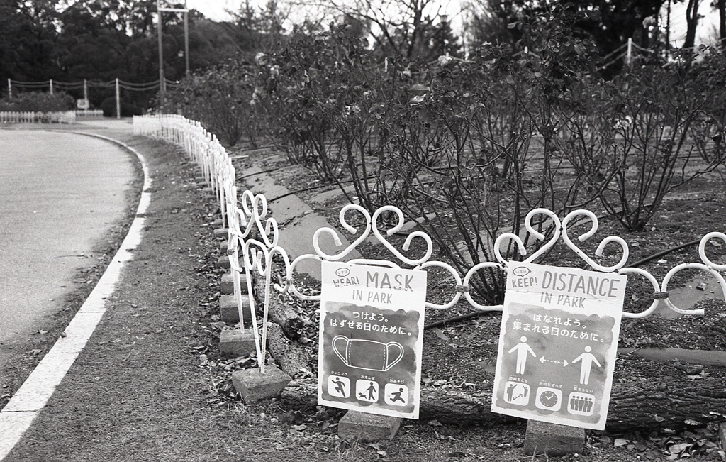 Mask and Distance in Park