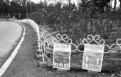 Mask and Distance in Park