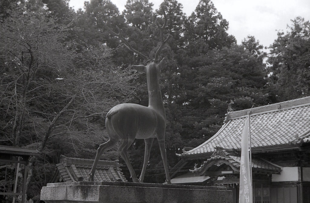 もう一つの鹿の背景