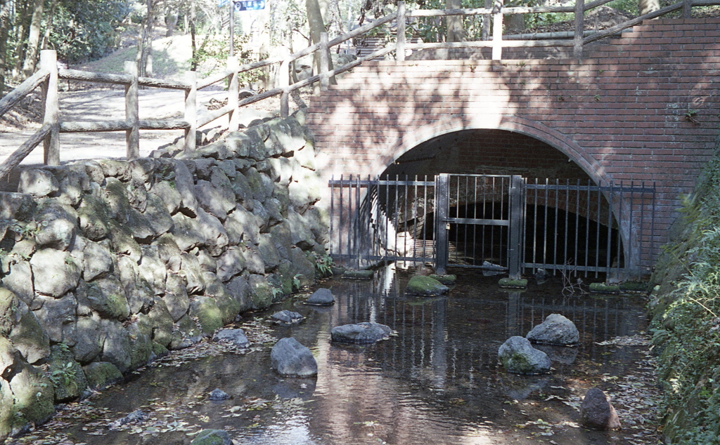 柿田川公園　～静岡県駿東郡清水町