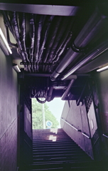 配線・配管の剥き出した地下への階段