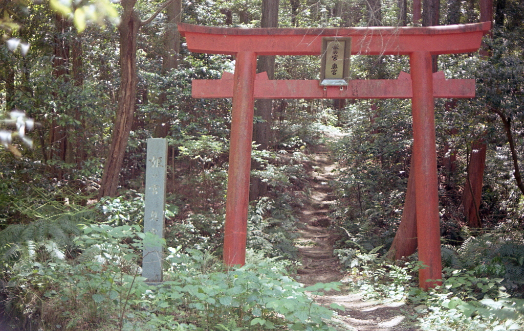 奥宮への赤鳥居