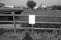 白紙の掲示