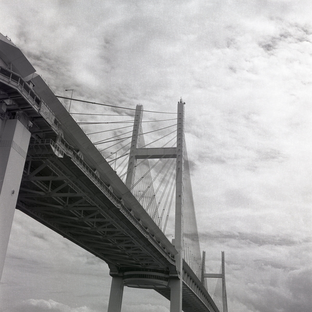 大空を横切る Bay Bridge