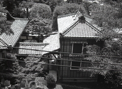 城壁から本居宣長記念館