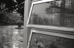 ガラスの雨だれ