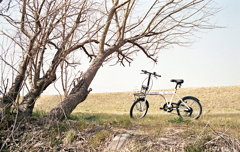 自転車をとめて…