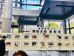 流石にモノクロ写真は私だけでした。（苦笑