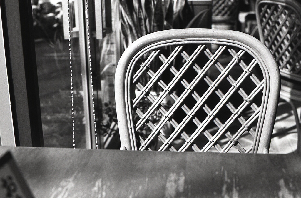 緑と花のレストラン