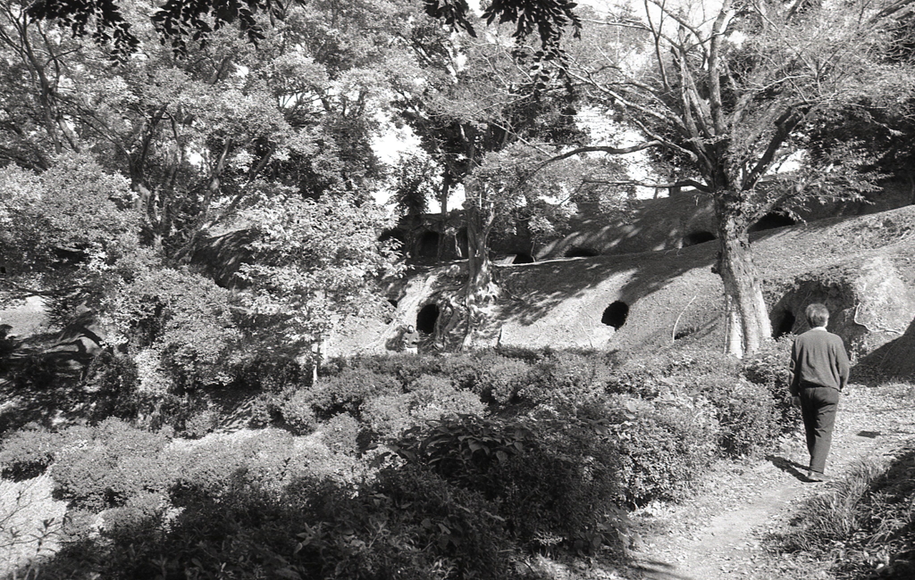 横穴群を歩いてみよう。