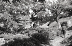 横穴群を歩いてみよう。