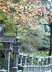 石灯篭と黄紅葉