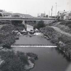 マリ散歩の遠景　　～Zenza Bronica EC 試写