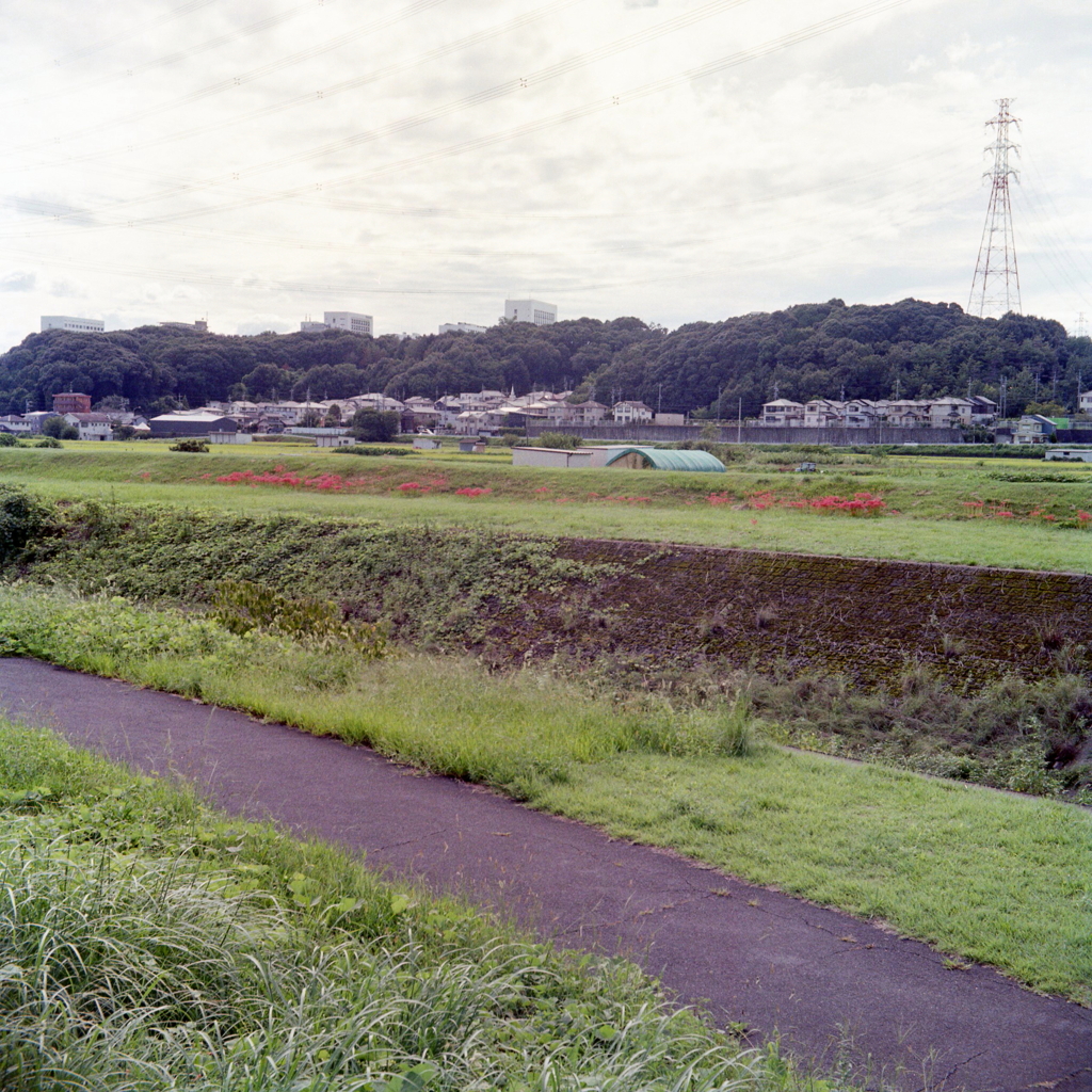 帰り道の対岸で…