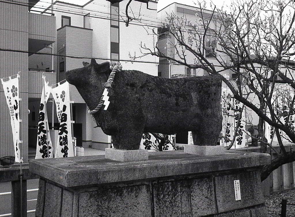 苔生すべこ　～さよならPEN…