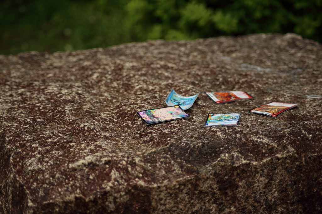 忘れ去られたカード