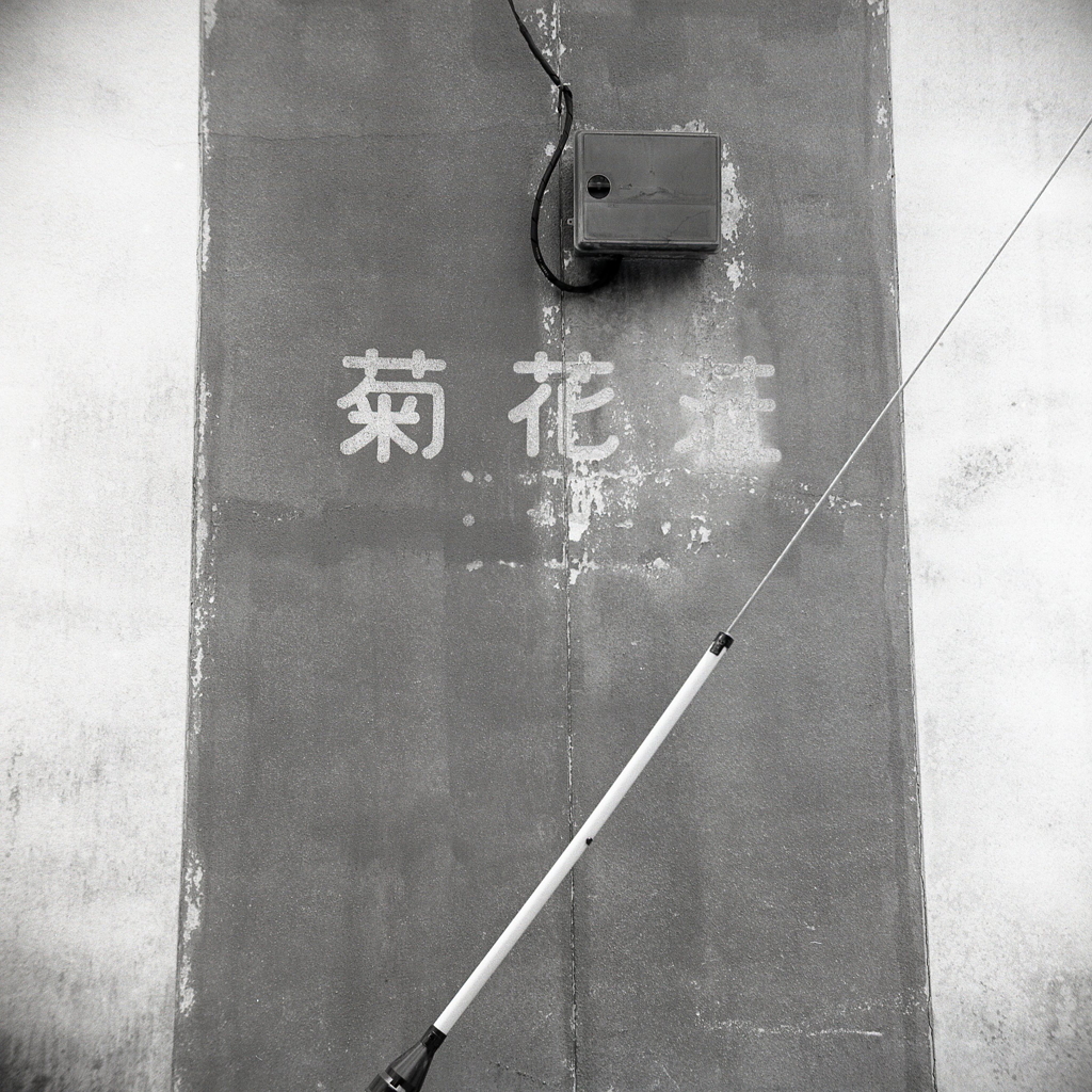 菊花荘