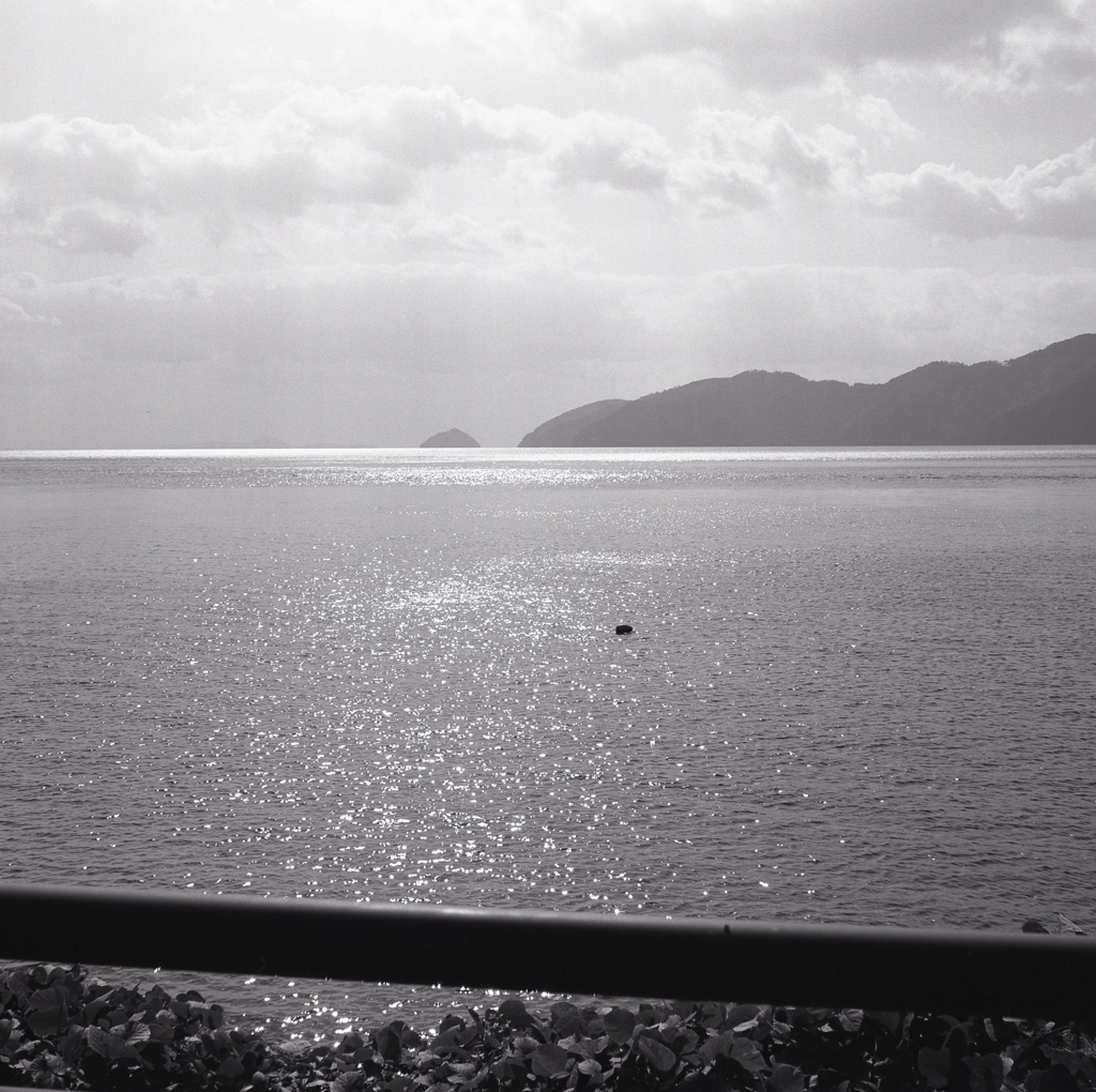 琵琶湖風景