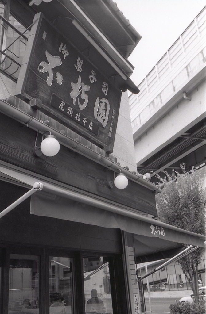 不朽園の最中　～名古屋モノクロウォーク