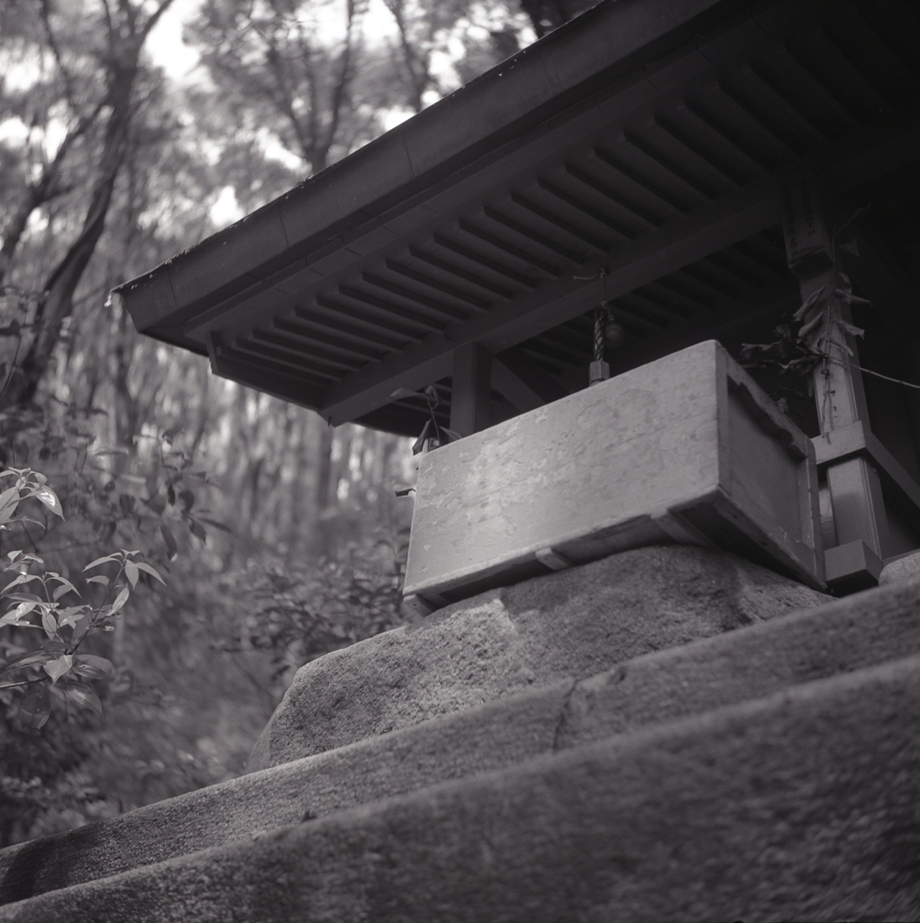 山上の小さな祠
