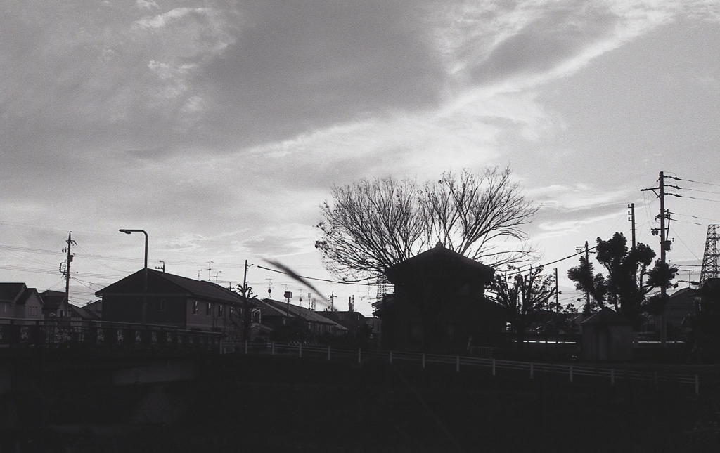 日没前のマリ散歩