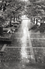 ひとり占めの煉瓦舗道