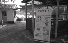 ボート池とコロナ