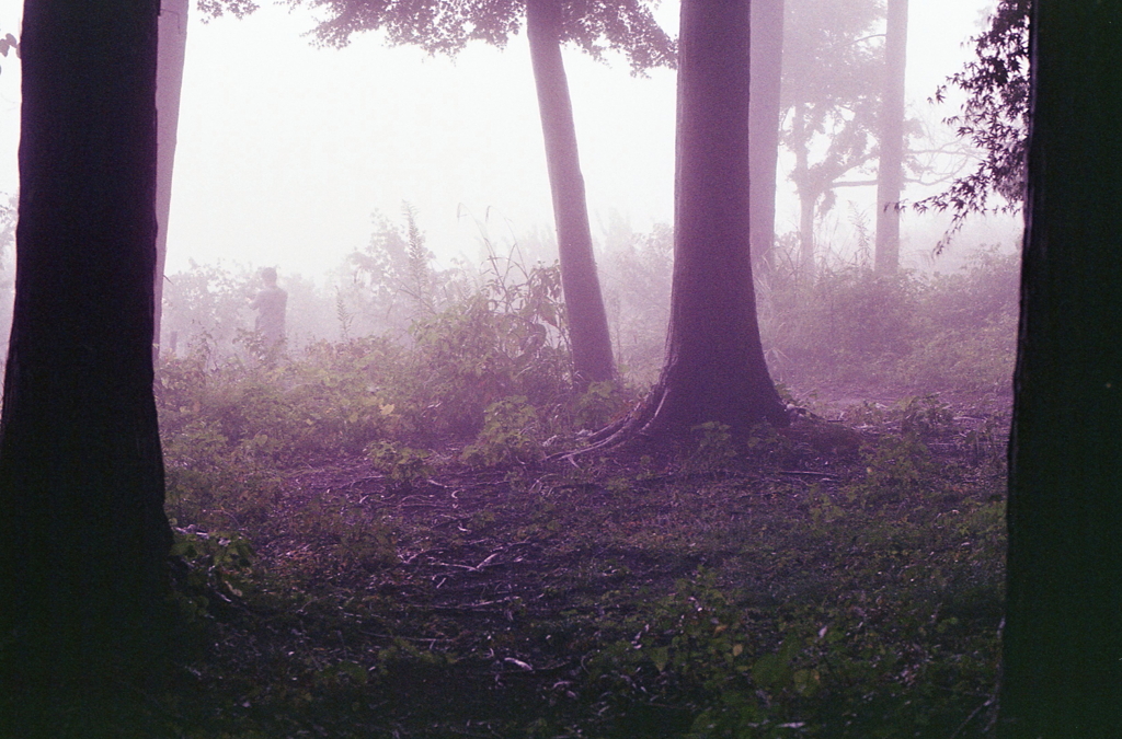 雲間の風景