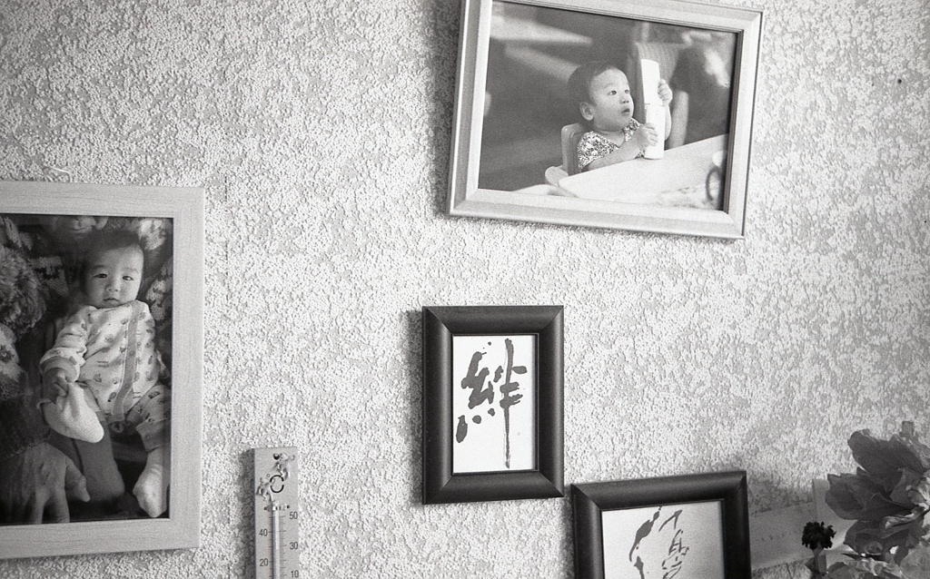 孫の写真