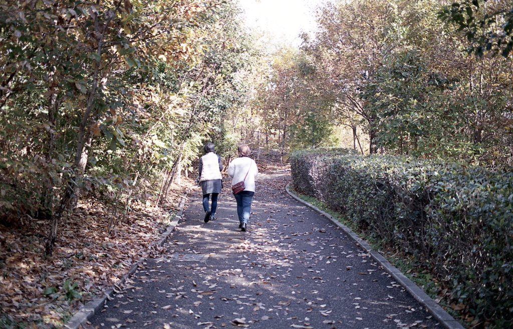 モリコロパークを歩こうか…