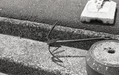 錆びたアンカー